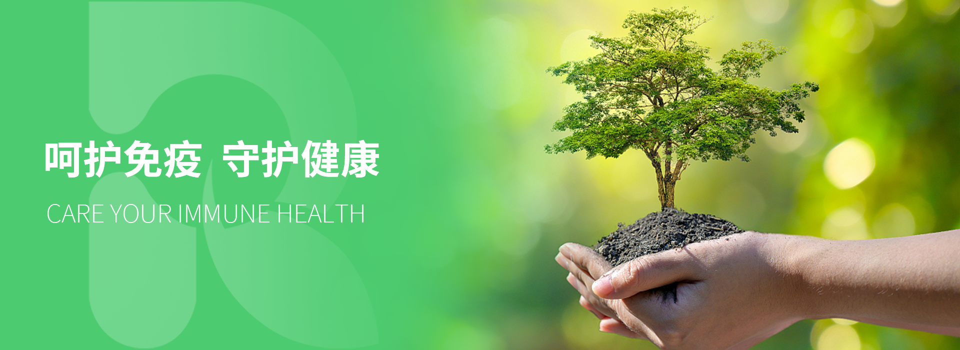 呵护免疫守护健康